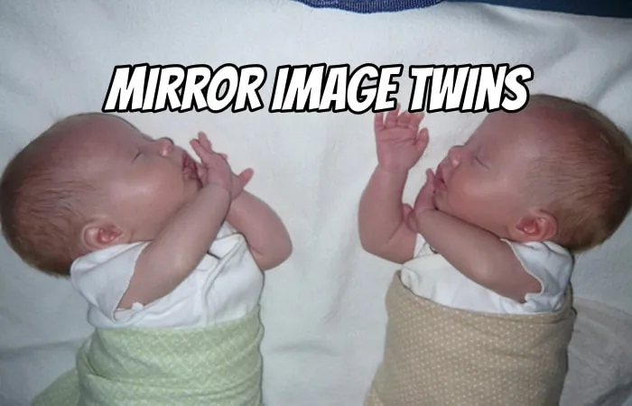 twin mirror carousel