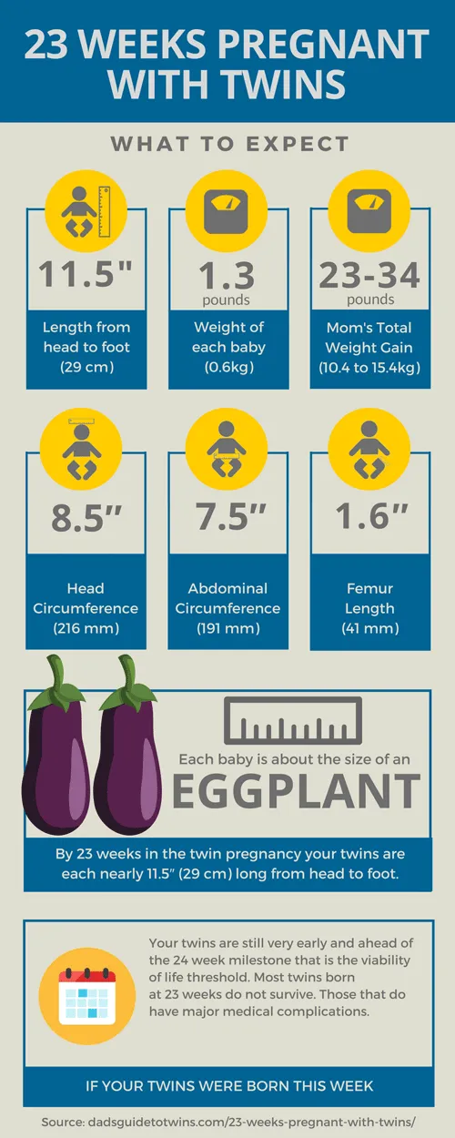 23 Weeks Pregnant With Twins What To Expect