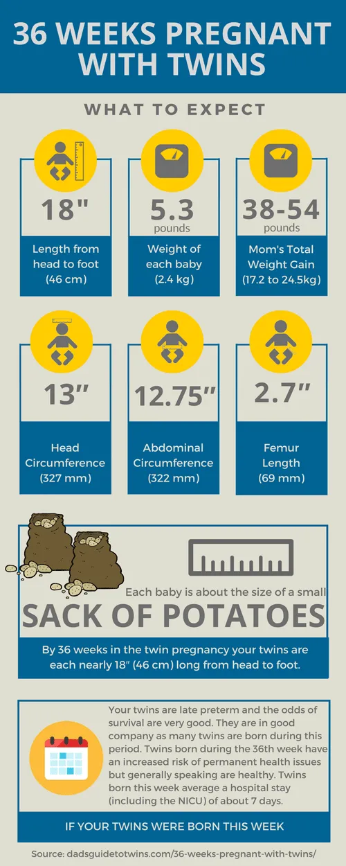 Twin Gestation Growth Chart