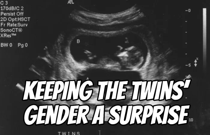 keeping-the-twins-gender-a-surprise-dad-s-guide-to-twins